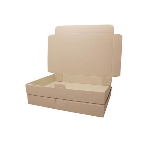 250 maxibrief kartons - 250,